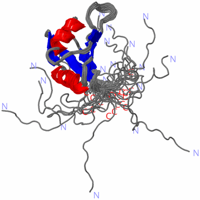 Image NMR Structure - all models