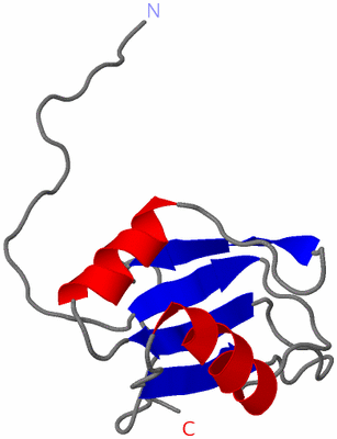 Image NMR Structure - model 1