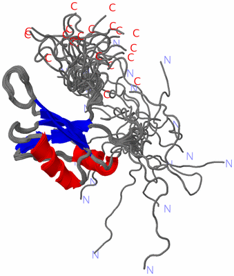 Image NMR Structure - all models