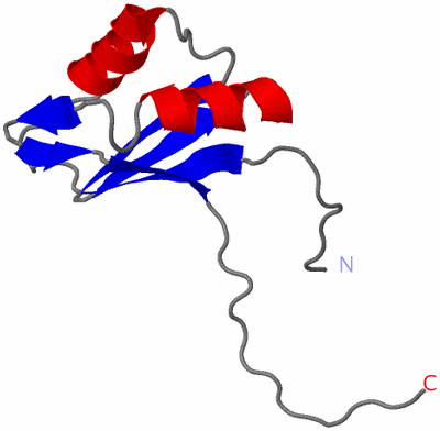 Image NMR Structure - model 1