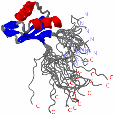 Image NMR Structure - all models