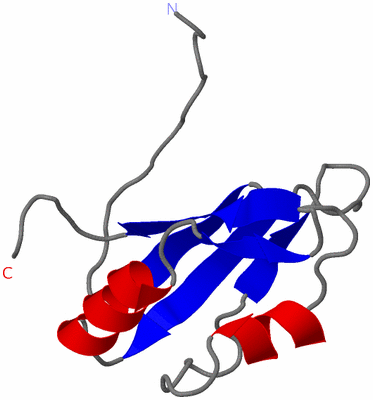 Image NMR Structure - model 1