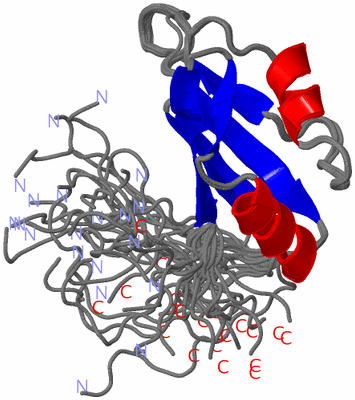 Image NMR Structure - all models