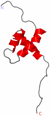 Image NMR Structure - model 1