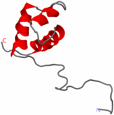 Image NMR Structure - model 1