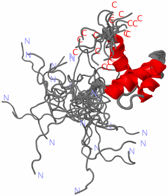 Image NMR Structure - all models