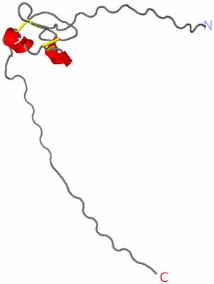 Image NMR Structure - model 1