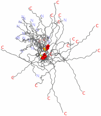 Image NMR Structure - all models