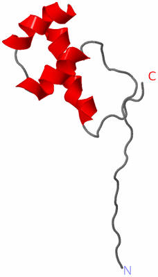 Image NMR Structure - model 1