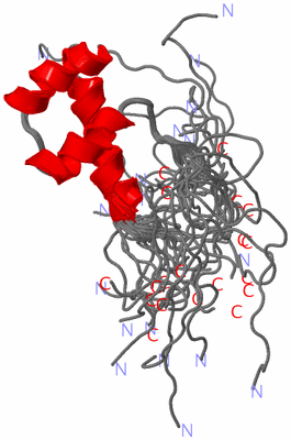 Image NMR Structure - all models