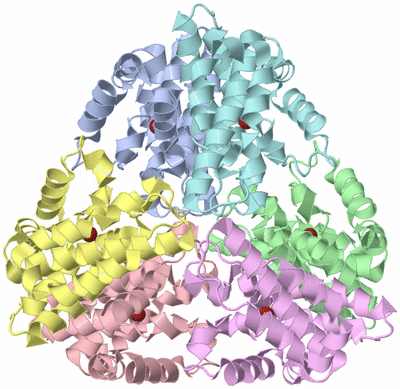 Image Asym./Biol. Unit