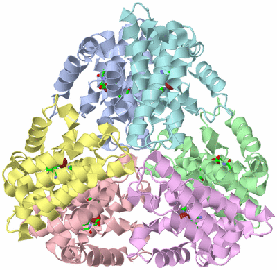 Image Asym./Biol. Unit - sites