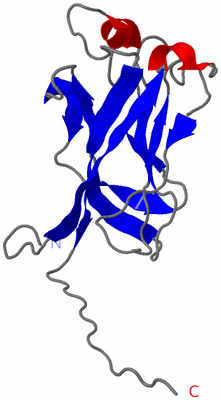 Image NMR Structure - model 1