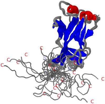 Image NMR Structure - all models