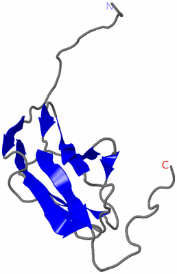 Image NMR Structure - model 1