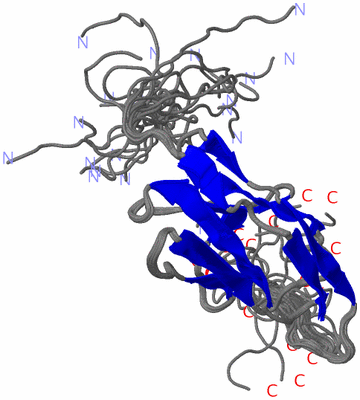 Image NMR Structure - all models