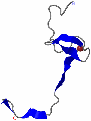 Image NMR Structure - model 1