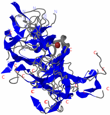 Image NMR Structure - all models