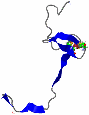 Image NMR Structure - model 1, sites