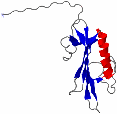 Image NMR Structure - model 1