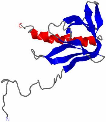 Image NMR Structure - model 1