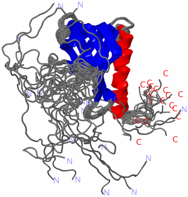 Image NMR Structure - all models