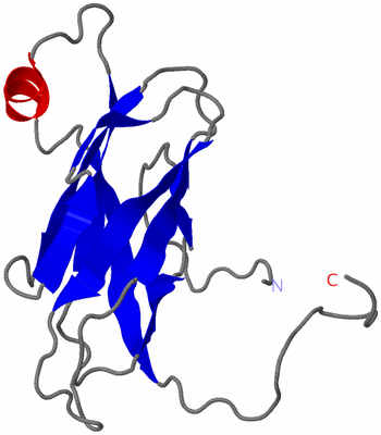 Image NMR Structure - model 1