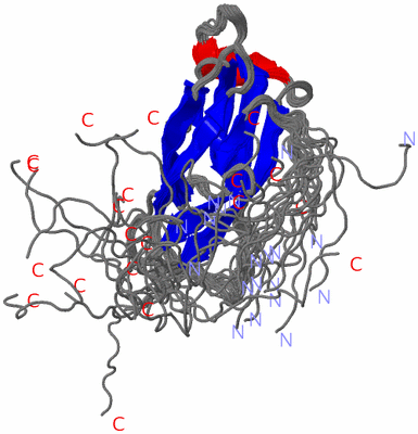 Image NMR Structure - all models