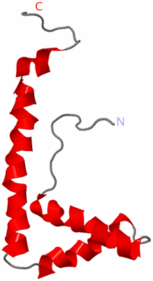 Image NMR Structure - model 1