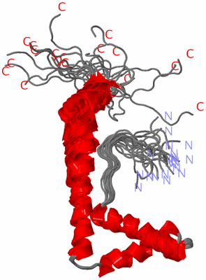 Image NMR Structure - all models