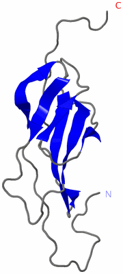 Image NMR Structure - model 1