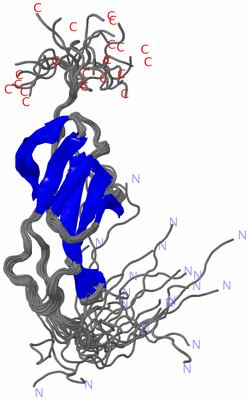 Image NMR Structure - all models