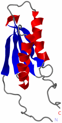 Image NMR Structure - model 1