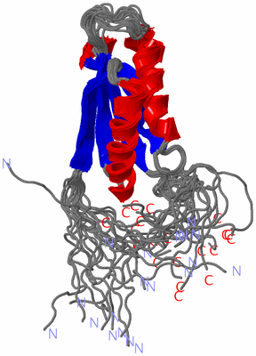 Image NMR Structure - all models