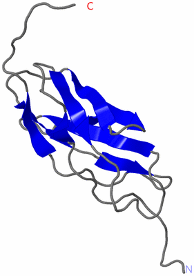 Image NMR Structure - model 1