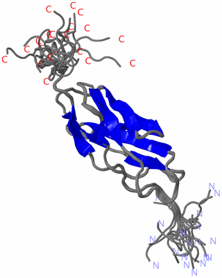 Image NMR Structure - all models