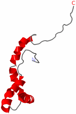 Image NMR Structure - model 1