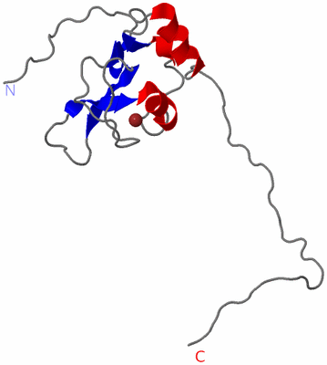 Image NMR Structure - model 1