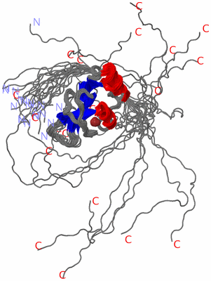 Image NMR Structure - all models