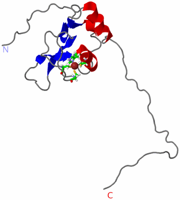 Image NMR Structure - model 1, sites