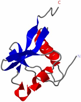 Image NMR Structure - model 1