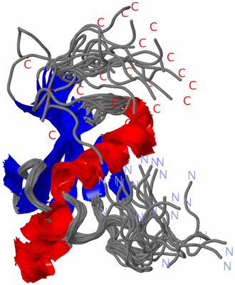 Image NMR Structure - all models