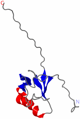 Image NMR Structure - model 1