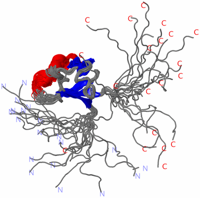 Image NMR Structure - all models