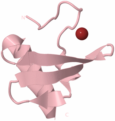 Image Biological Unit 3