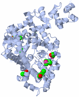 Image Biological Unit 1