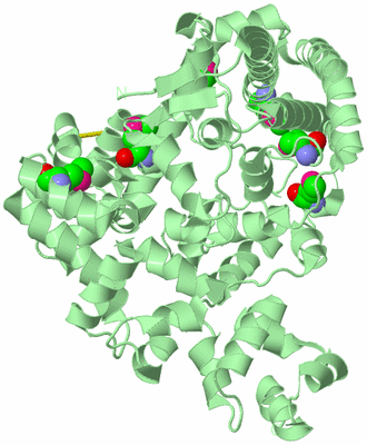 Image Biological Unit 2