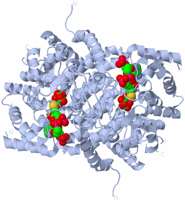 Image Biological Unit 1