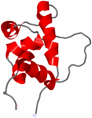 Image NMR Structure - model 1
