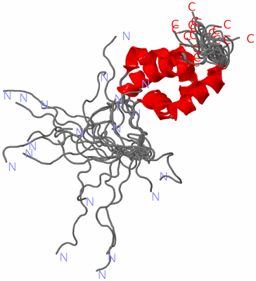 Image NMR Structure - all models